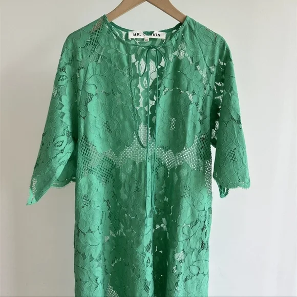 Mr. Larkin Lola Dress In Green - Picture 7 of 12